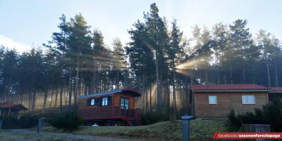 Les Chalets Du Haut-Forez Usson-en-Forez Esterno foto