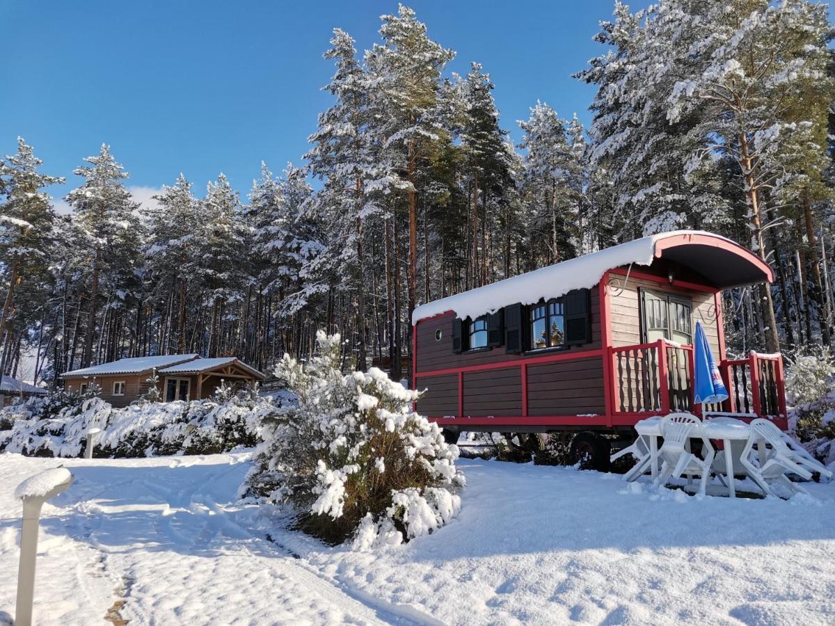 Les Chalets Du Haut-Forez Usson-en-Forez Esterno foto