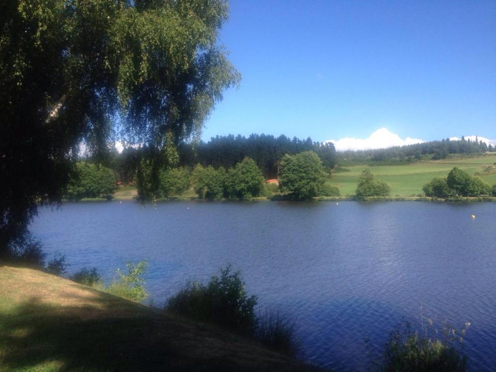 Les Chalets Du Haut-Forez Usson-en-Forez Esterno foto