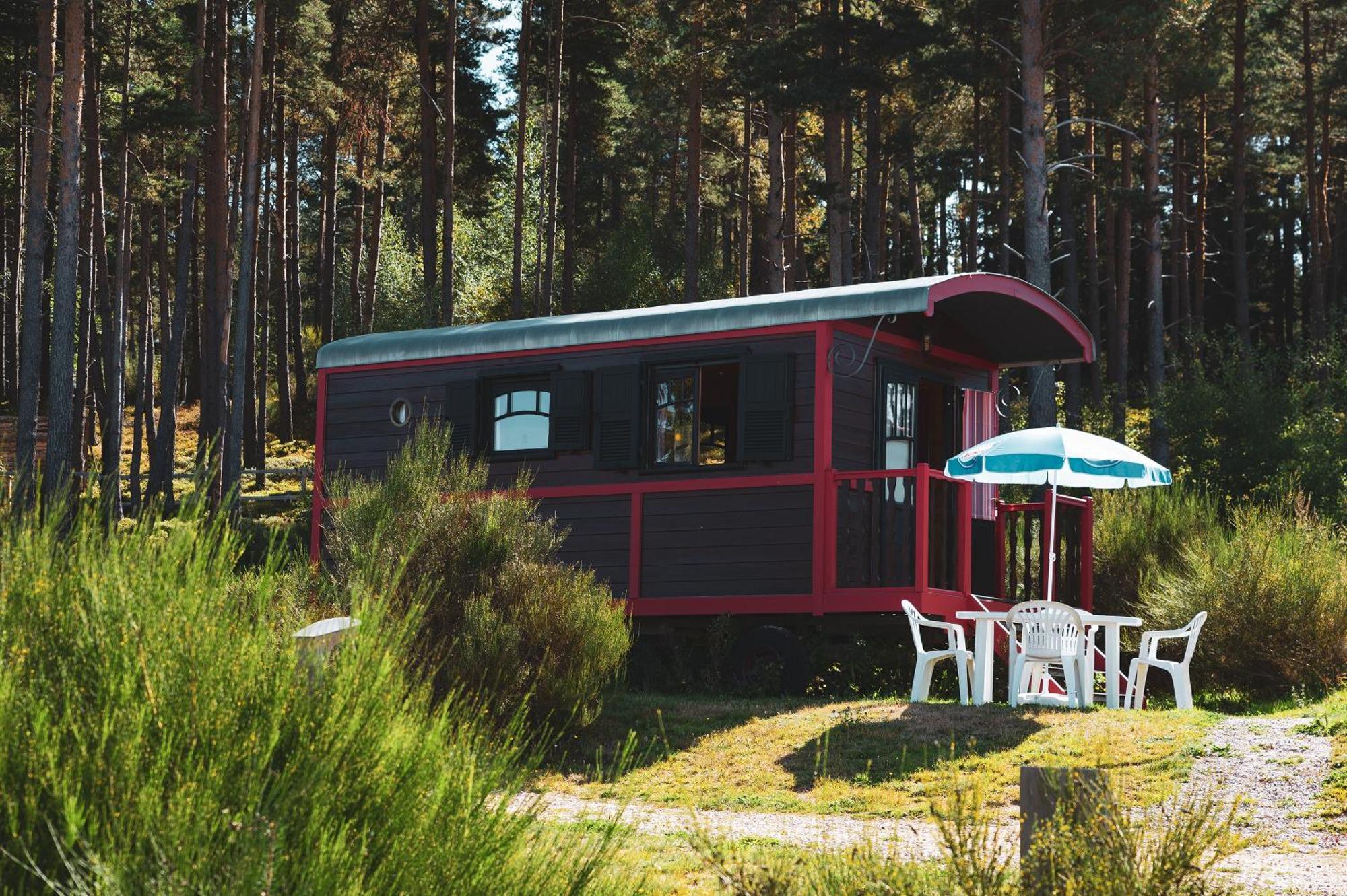 Les Chalets Du Haut-Forez Usson-en-Forez Esterno foto